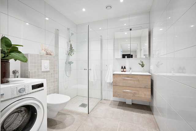 bathroom-8714843_640