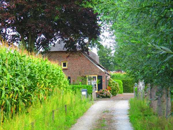 Heeswijk-Dinther2